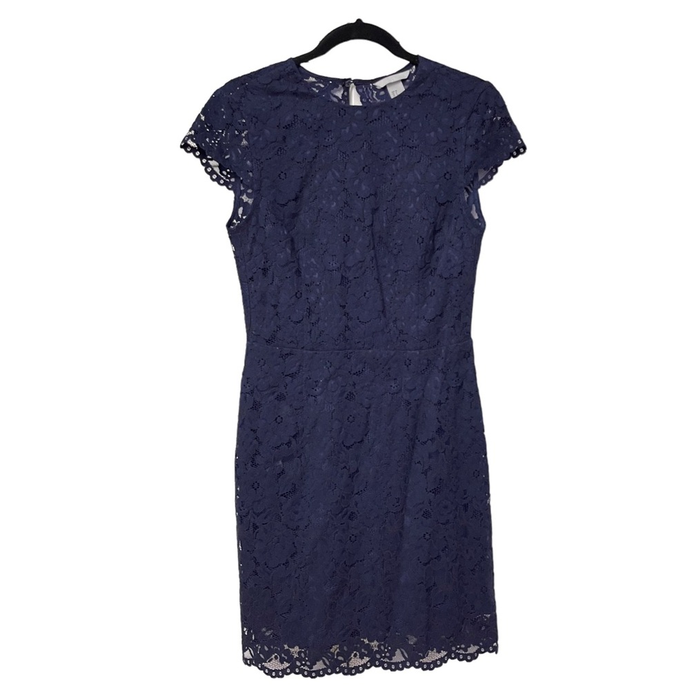 New!! H&M Short Sleeve Lace Midi Dark Blue Dress Size 6